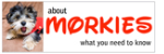 http://aboutmorkies.com/ Logo