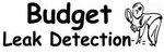 http://www.budgetleakdetection.com/ Logo