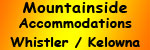 https://mountainsideaccommodations.com/ Logo