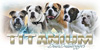 http://www.titaniumbluebulldogges.com/ Logo