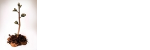 http://www.meg-hoffman.com/ Logo