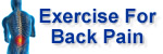 http://www.exercise-for-back-pain.com/ Logo