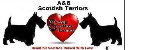 http://abscottishterriors.com/ Logo