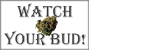 http://www.watchyourbud.com/ Logo