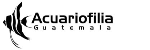 http://acuariofiliaguatemala.com/ Logo